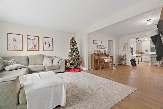 living room with light hardwood / wood-style flooring