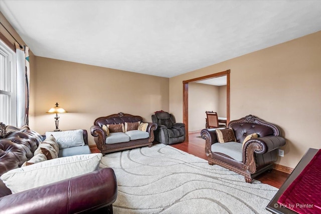 living room with hardwood / wood-style floors