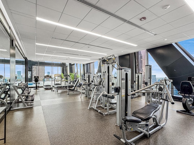 workout area with a paneled ceiling and floor to ceiling windows