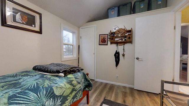 bedroom with hardwood / wood-style flooring and vaulted ceiling