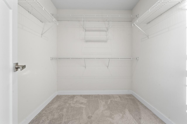 spacious closet with carpet flooring