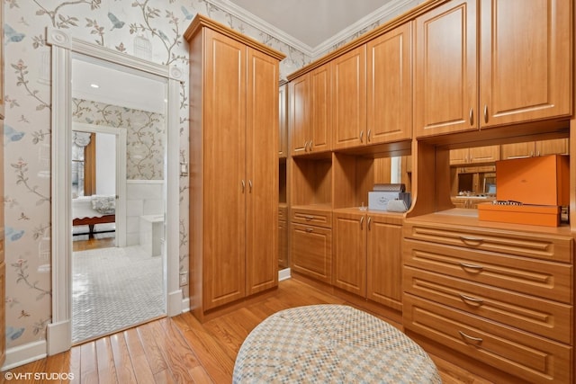 spacious closet with light hardwood / wood-style flooring