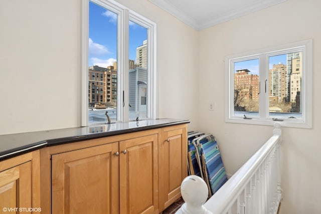 bathroom with ornamental molding