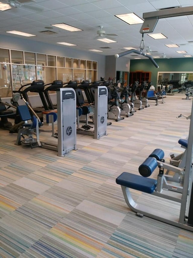 gym featuring ceiling fan and carpet floors