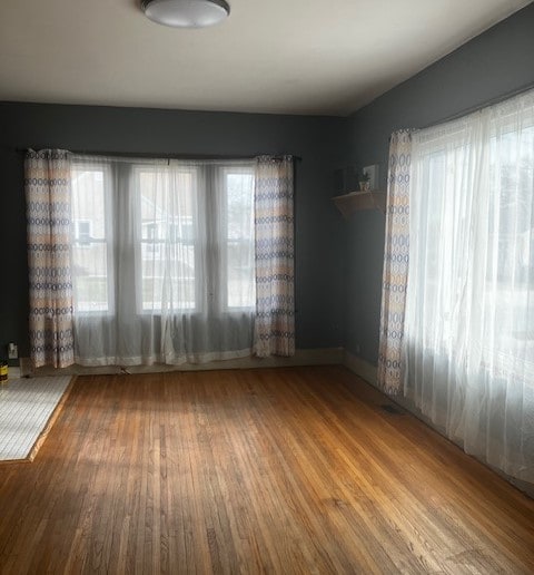 spare room featuring wood-type flooring