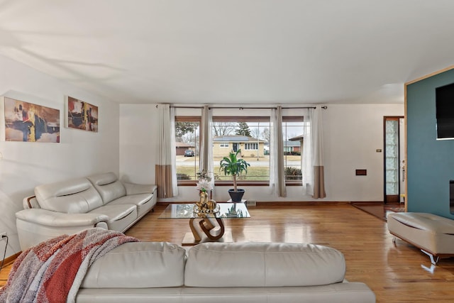 living room with light hardwood / wood-style flooring