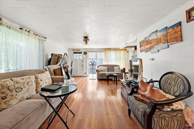 living room featuring light hardwood / wood-style floors