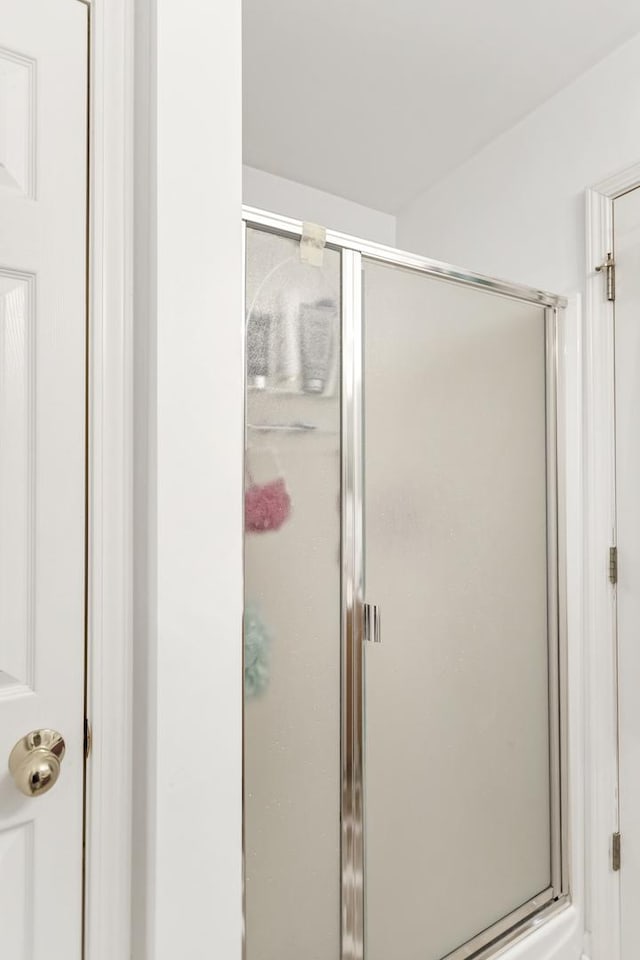 bathroom featuring a shower with shower door