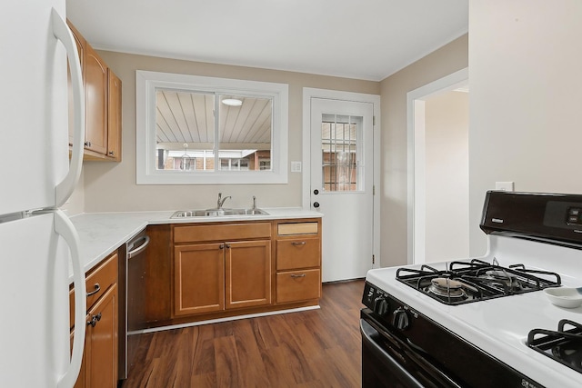 kitchen with dark hardwood / wood-style flooring, white appliances, and sink