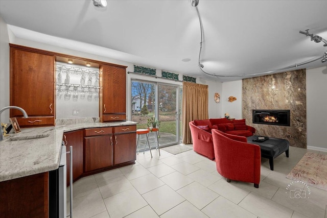 living room with sink, a premium fireplace, and track lighting