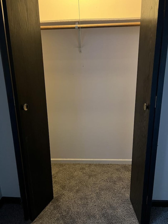 view of closet