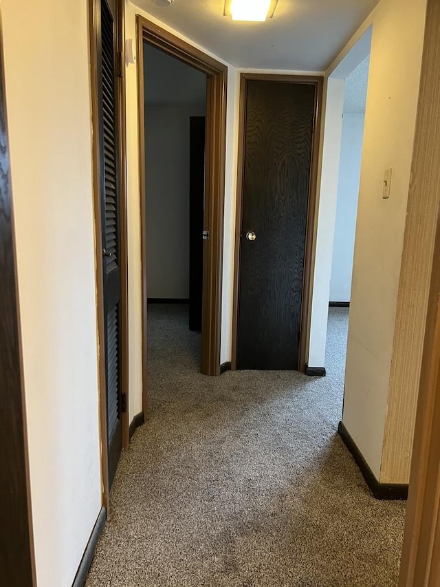 hallway featuring carpet flooring