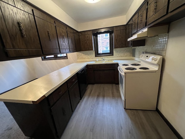 kitchen featuring backsplash, dark brown cabinets, white range with electric stovetop, light hardwood / wood-style flooring, and dishwasher