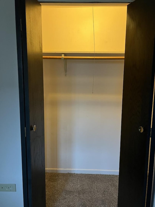 view of closet