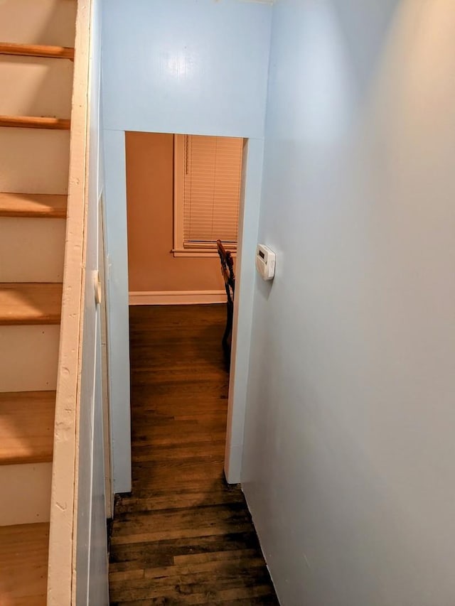 hallway with dark wood-type flooring