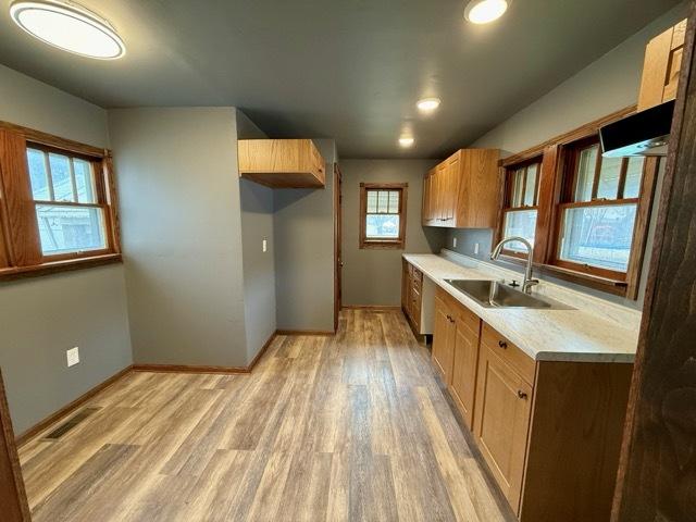 kitchen featuring plenty of natural light, sink, and light hardwood / wood-style flooring