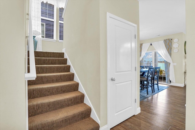 stairway with hardwood / wood-style flooring