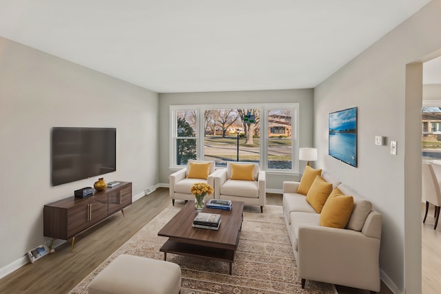 living room featuring hardwood / wood-style floors