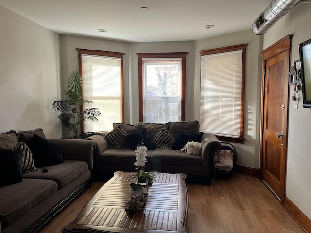 living room featuring hardwood / wood-style flooring