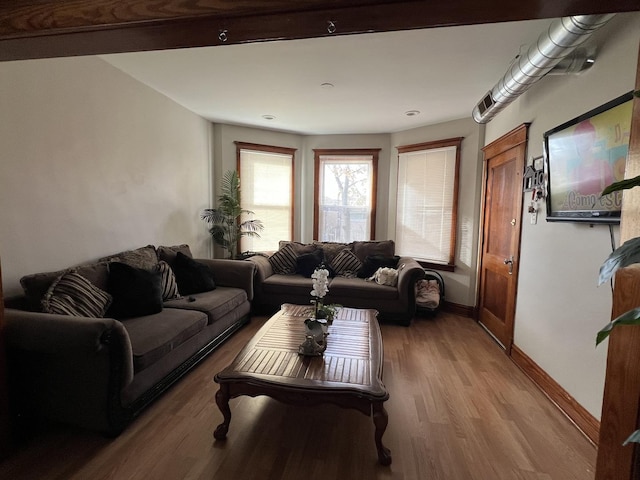 living room with hardwood / wood-style floors