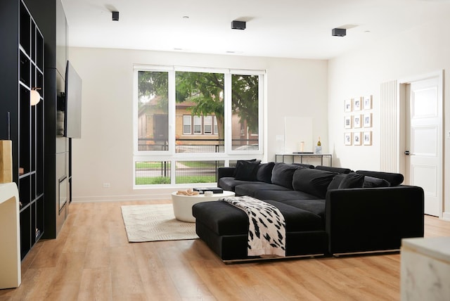 living room featuring light wood-type flooring