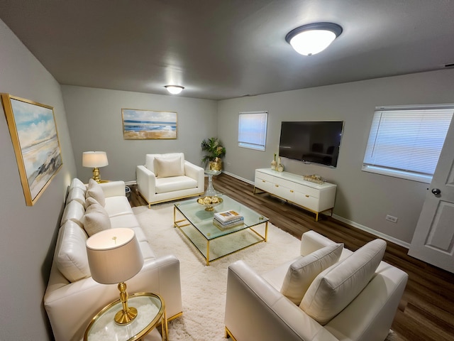 living room featuring hardwood / wood-style flooring