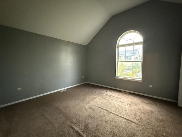 additional living space with carpet and lofted ceiling