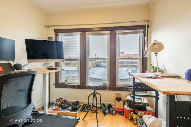 office space featuring wood finished floors