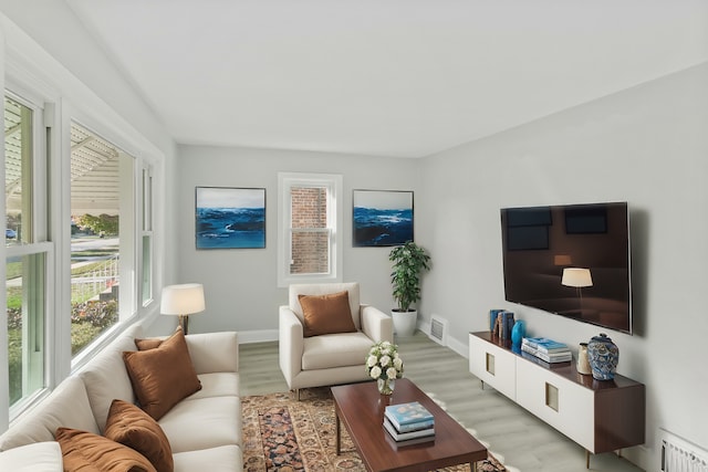 living room with light hardwood / wood-style flooring