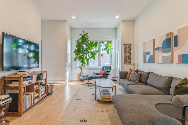 living room with light hardwood / wood-style flooring