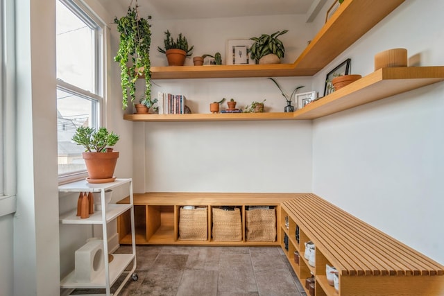 mudroom featuring a healthy amount of sunlight