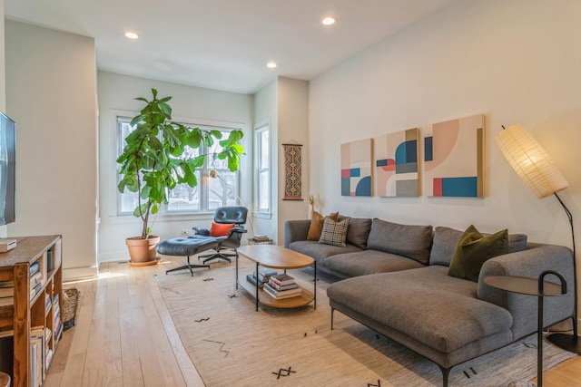 living room featuring light hardwood / wood-style floors