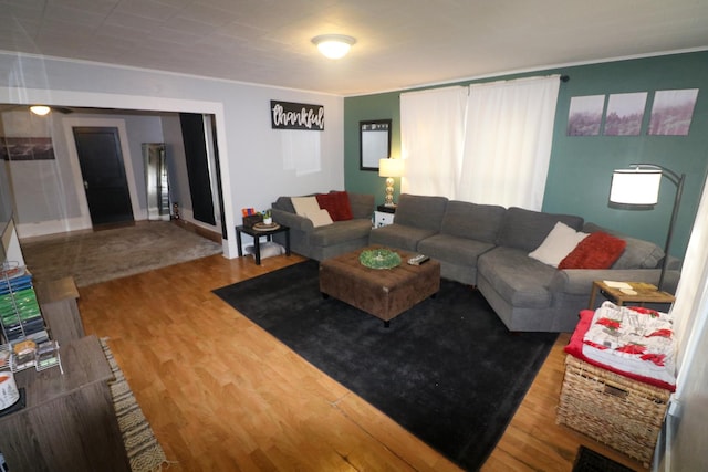 living room with hardwood / wood-style floors