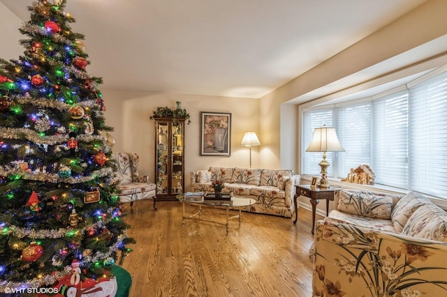 living room with hardwood / wood-style floors