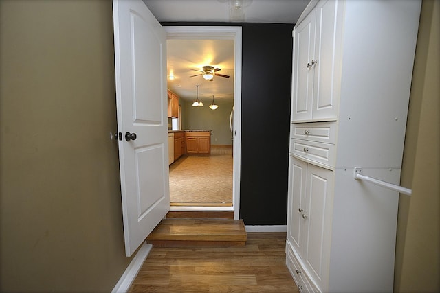 hall featuring light hardwood / wood-style floors