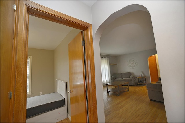 hall featuring wood-type flooring and a wealth of natural light