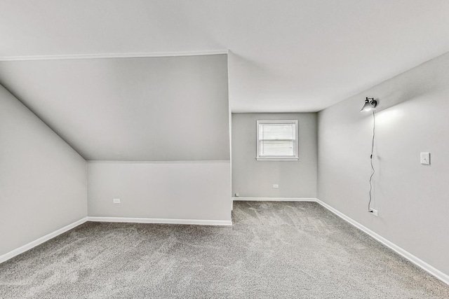 additional living space with carpet floors