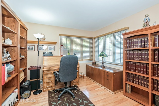 office featuring light wood-type flooring