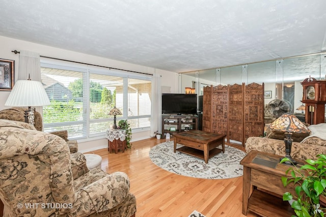 living room with light hardwood / wood-style floors and a textured ceiling