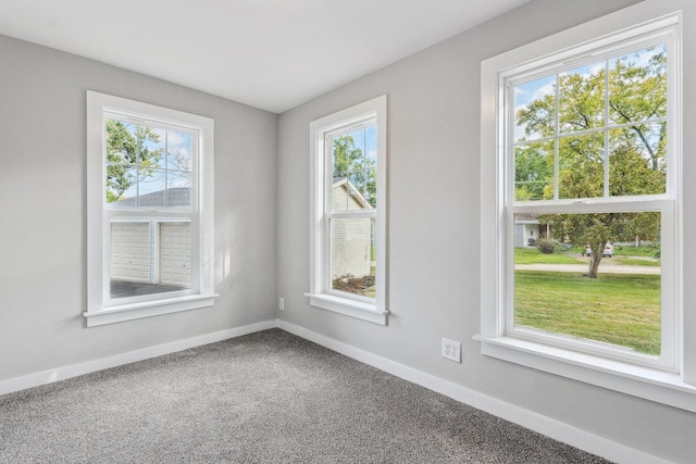 unfurnished room with carpet flooring and a healthy amount of sunlight