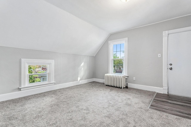 additional living space featuring a wealth of natural light, radiator heating unit, carpet floors, and lofted ceiling