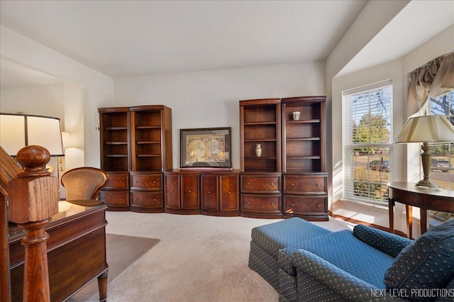 sitting room featuring carpet flooring