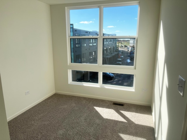 spare room with carpet floors