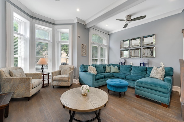 living room featuring beam ceiling, ornamental molding, a healthy amount of sunlight, and hardwood / wood-style flooring