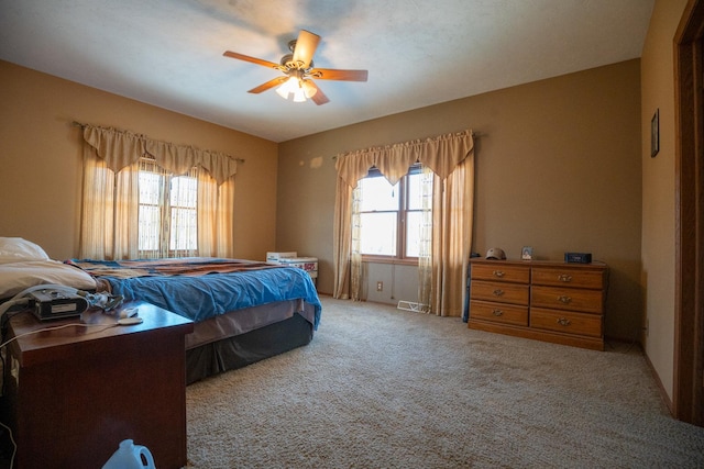 9304 Ellis Rd, Fenton, IL 61251 - photo 29