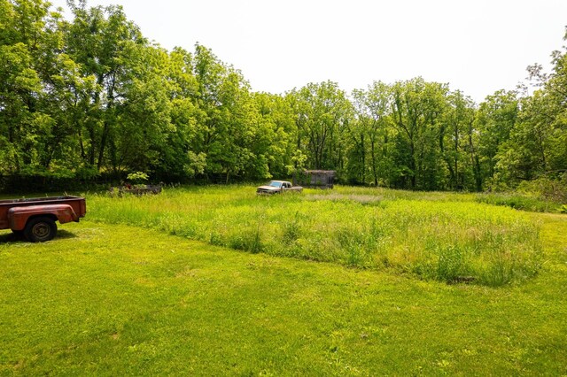 9304 Ellis Rd, Fenton, IL 61251 - photo 56