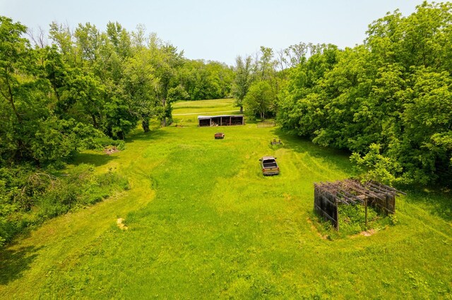 9304 Ellis Rd, Fenton, IL 61251 - photo 57