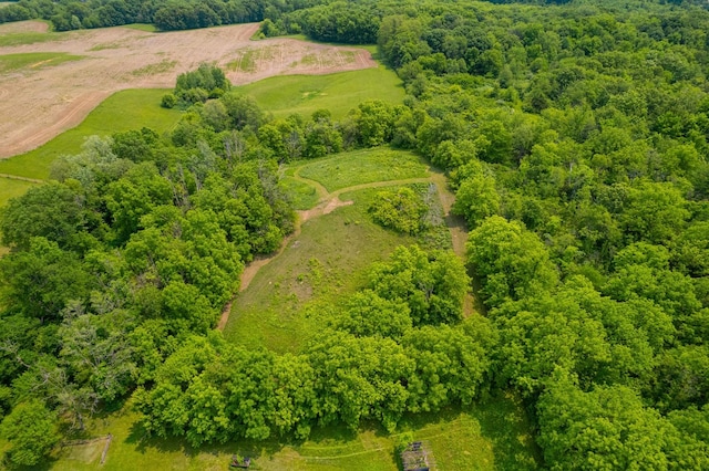9304 Ellis Rd, Fenton, IL 61251 - photo 72