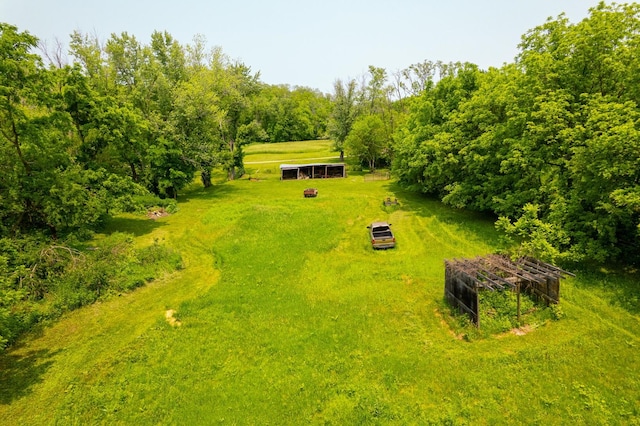 9304 Ellis Rd, Fenton, IL 61251 - photo 74