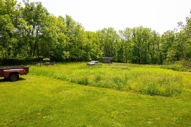 9304 Ellis Rd, Fenton, IL 61251 - photo 75